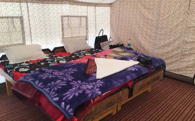 The Buddha Camp