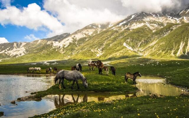 Residence Le Ginestre Hotel