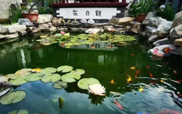 Shengyuan Boutique Homestay (Yantai Wanda Suocheng Branch)