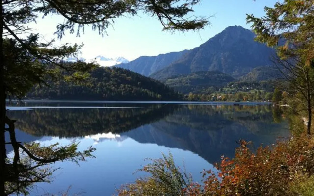 Reitbauernhof Schartner