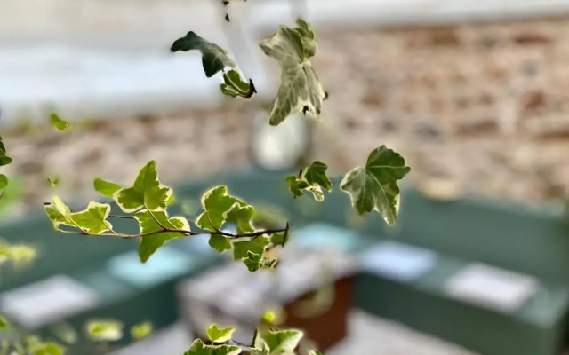 Five Brand New Boutique Apartments Central Athens