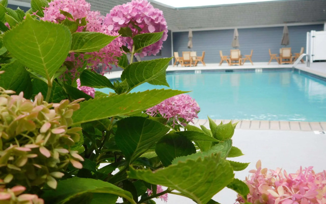 Comfort Inn & Suites Glen Mills - West Chester