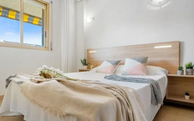 Alea Rentals - Albeniz