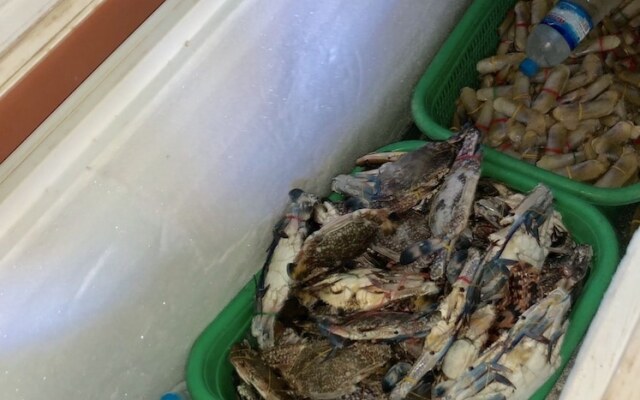 Sea Breeze Lodge Ngapali