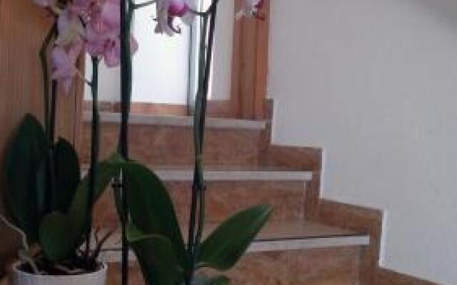 Hotel Rosalba