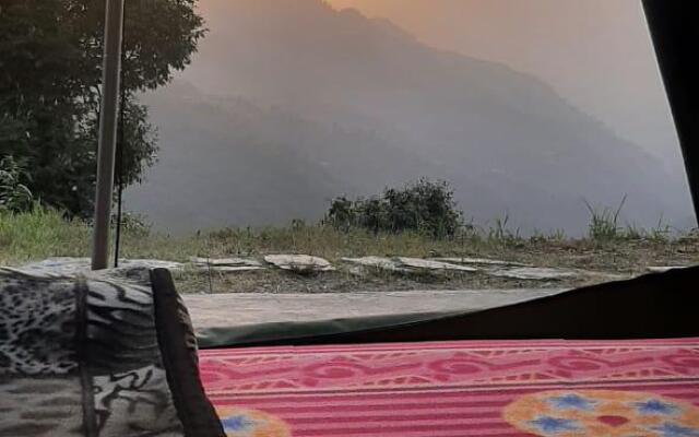 PineHills Nature Camp