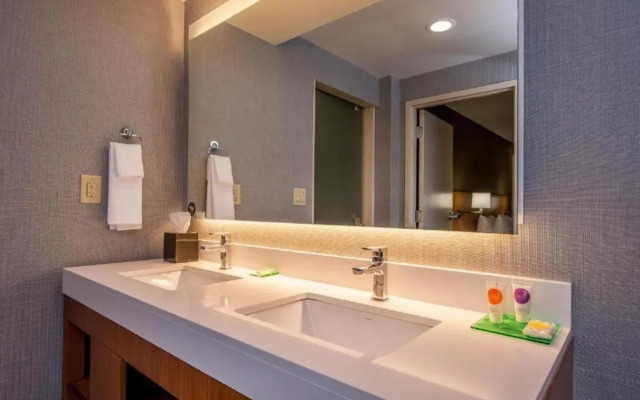 Hyatt Place Chicago/O'Hare Airport
