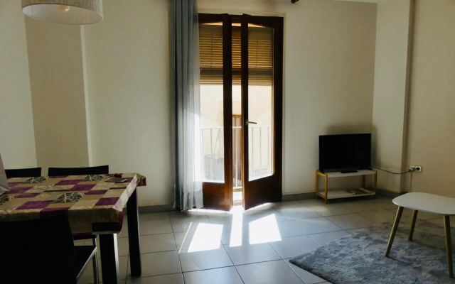 Confortable PIS en ple centre de Vic APTGARBI