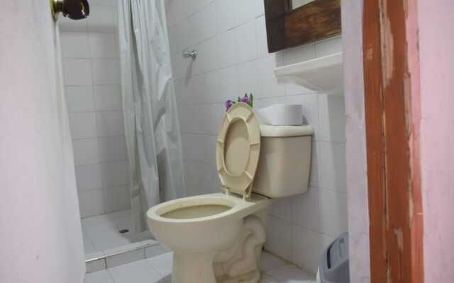 Mango Tree Hostel 4 20