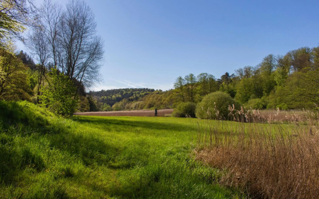 Wonderful Apartment With Great Location