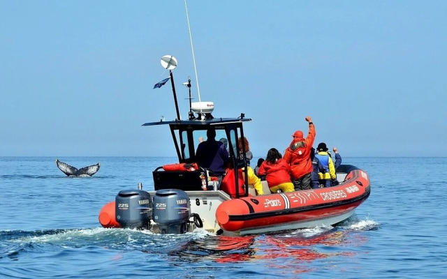 Auberge La Merveilleuse
