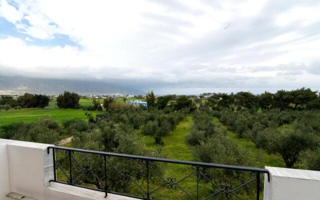 Uliveto 3bd Rustic House