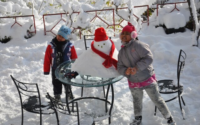 The Chalets Naldehra