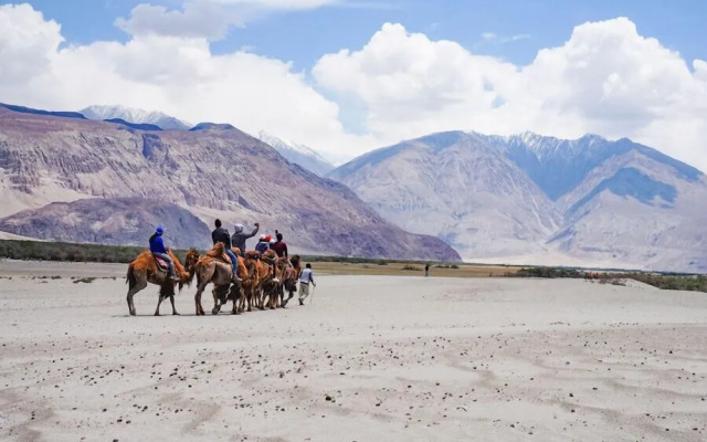The Ladakh Summer Camp