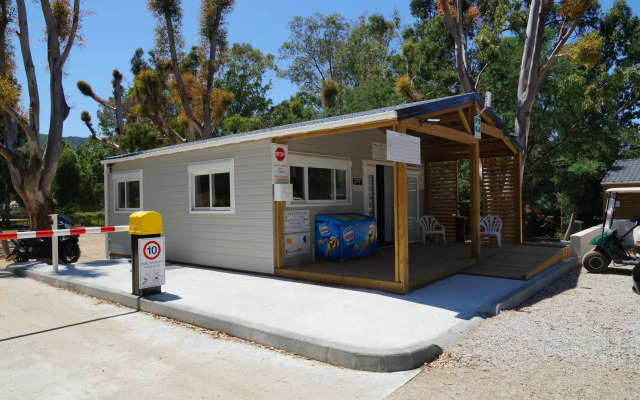 Camping International