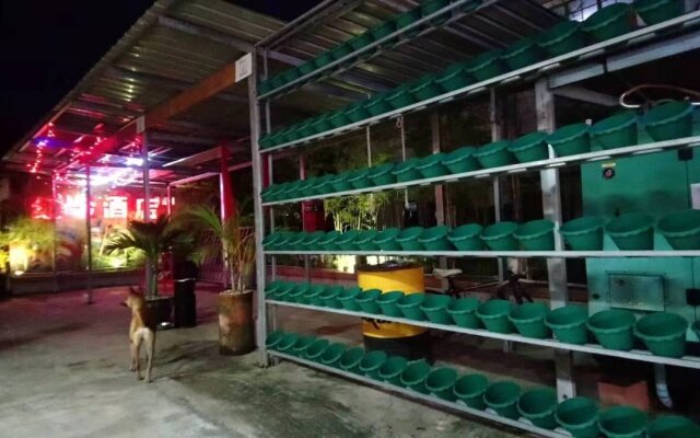 Hotel Shwe Ni