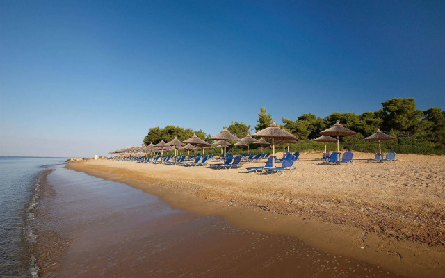 Blue Dolphin Hotel