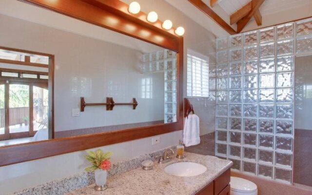 Buttonwood Belize