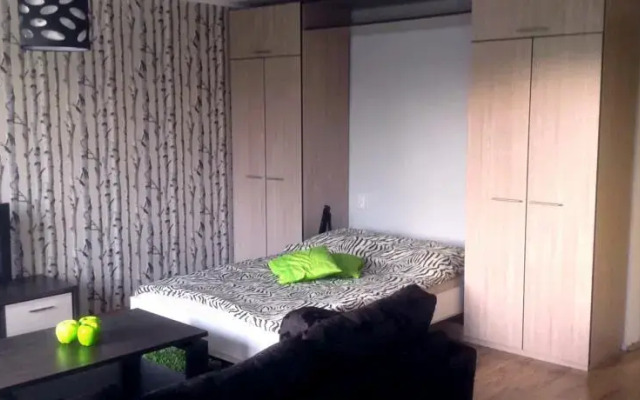 Sunny Studio Apartment
