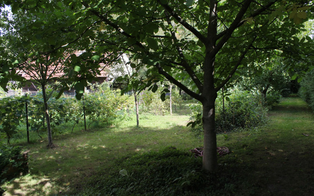 Chez Salomé et Fritz