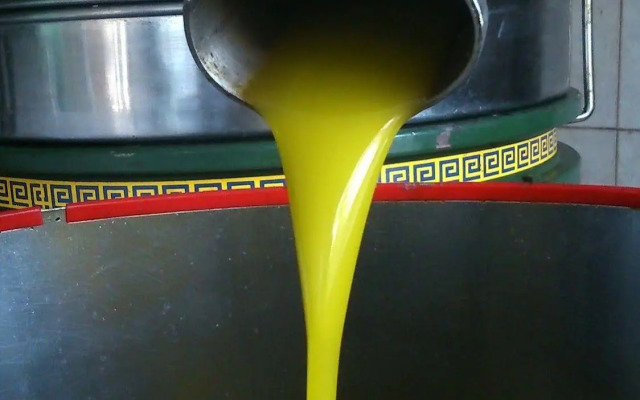 Agriturismo Borgodoro