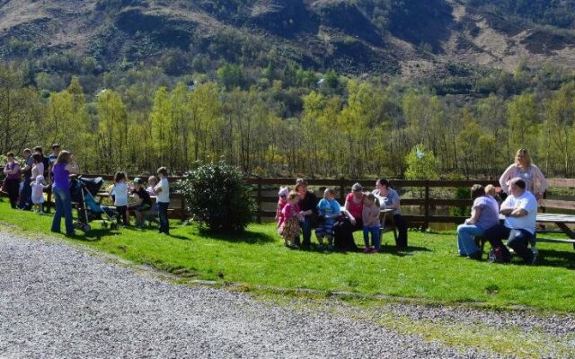 MacDonald Hotel & Cabins