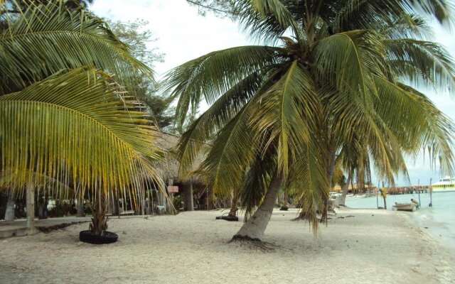 Freedom Shores "La Gringa" Hotel - Universally Designed