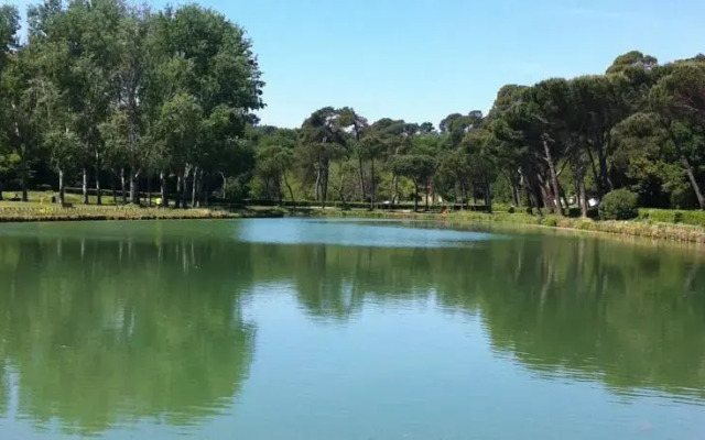 The Frogs and Company