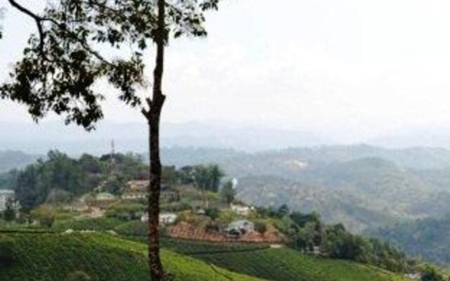 Munnar Estate Residency