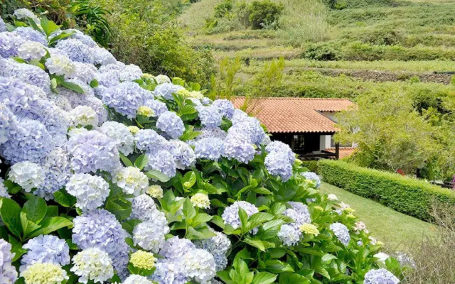 Quinta O Refugio