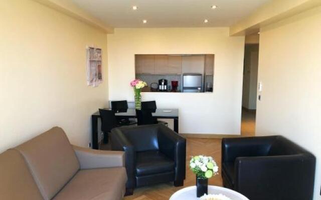 Appartements Centre Ville Massena avec vue