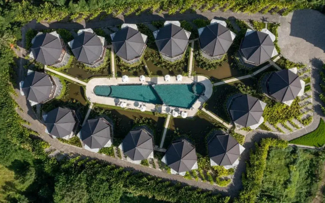 Swan Paradise A Pramana Experience