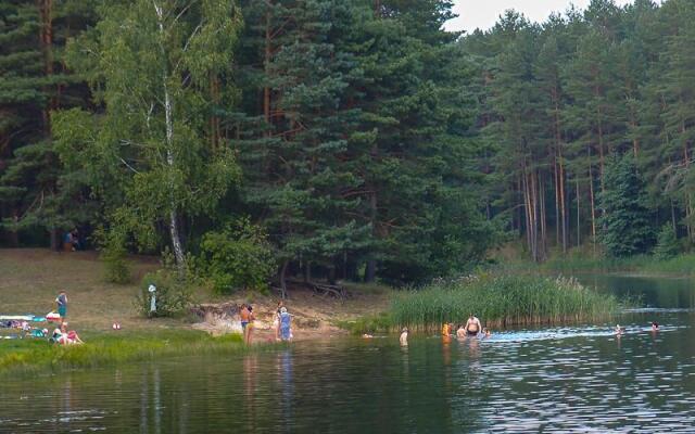 Romantic Attic Apartment Druskininkai