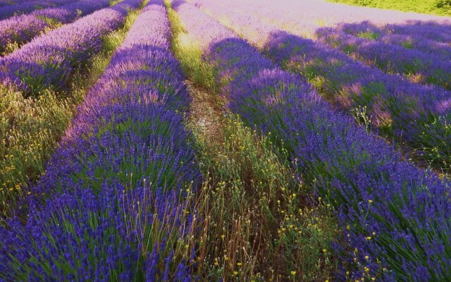 Hameau de Pichovet