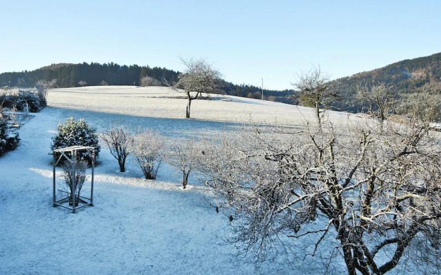 Apartment in Kleines Wiesental, Sallneck
