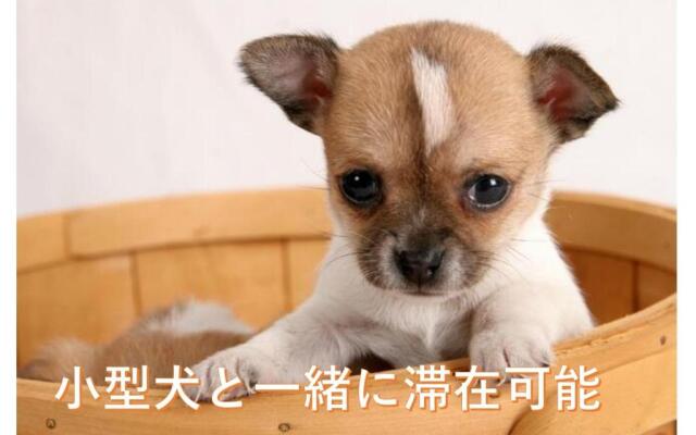 サービスアパ―トメントSAPPORO札幌さくら2-3