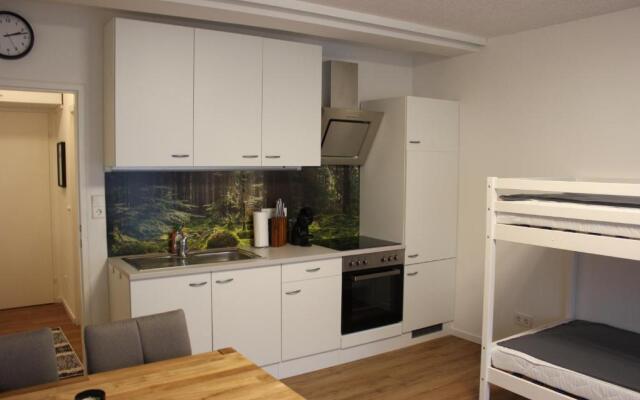 Gemütliches 4er Apartment in Skilift-Nähe