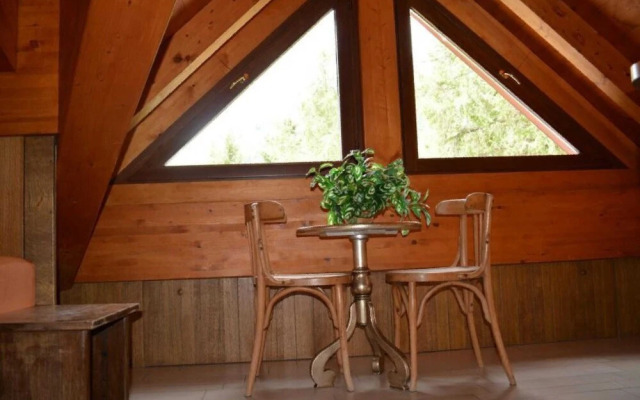 Stelviostay Mansarda 20