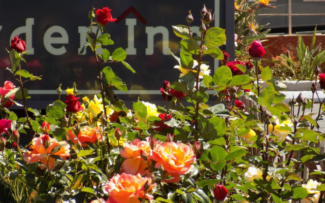 Rose Garden Inn