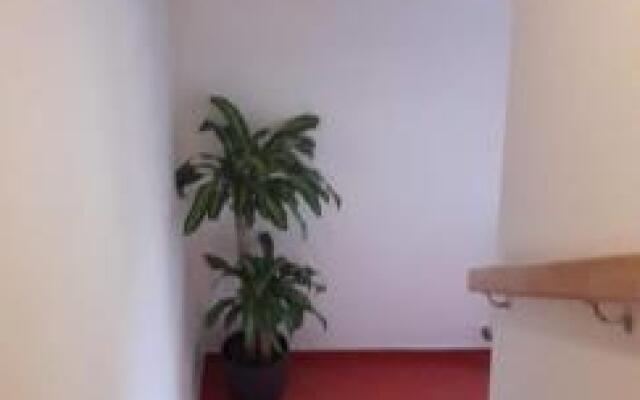 Apartmán McVitek