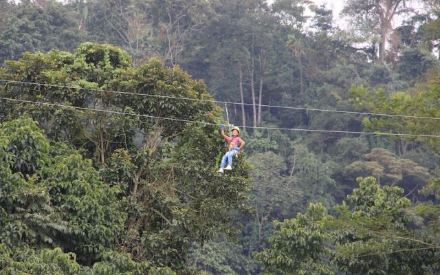Bosque de Aventura & Glamping El Refugio