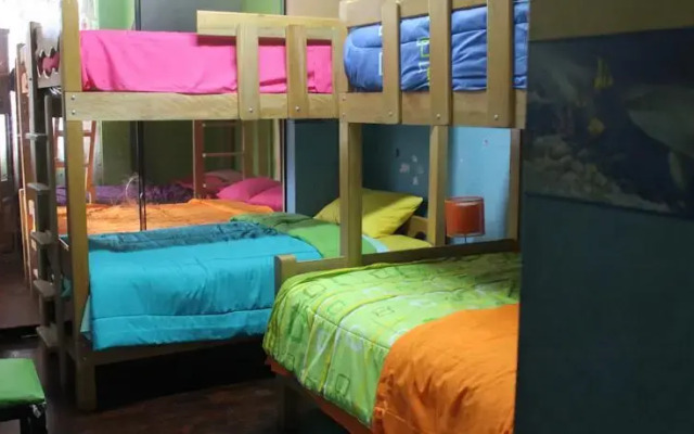 Hostel Acropolis Perú - Bed & Breakfast