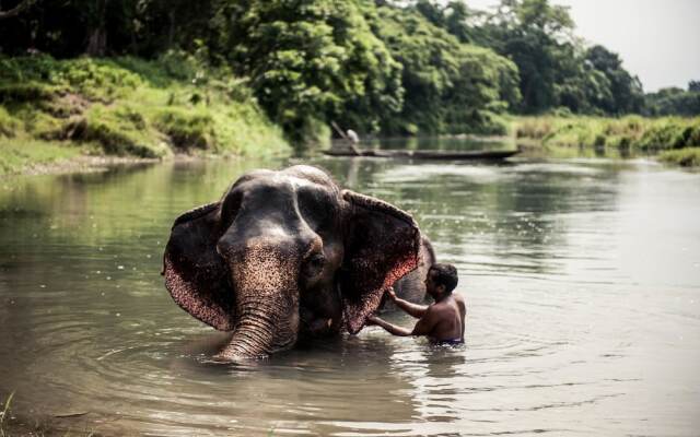 Sauraha Holiday Home