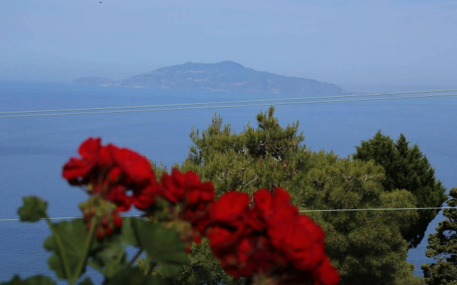 Alle Ginestre B&B