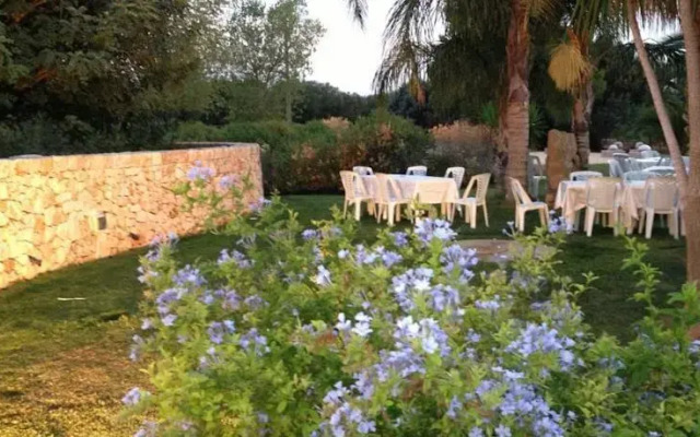 OLYMPUS PARK amnesia