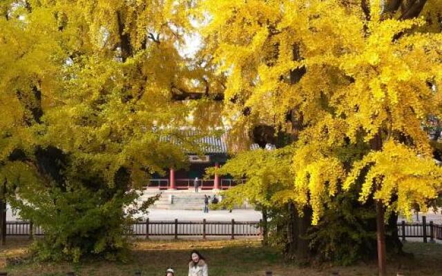 Hue Hanok Guesthouse