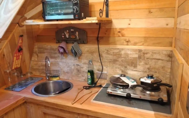 Domo Bosque Nativo Villarrica comuna