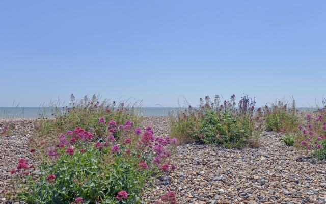 Beach Garden