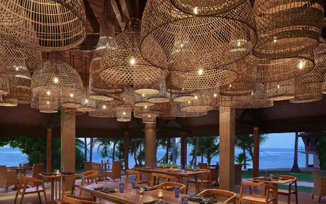 Hikka Tranz by Cinnamon