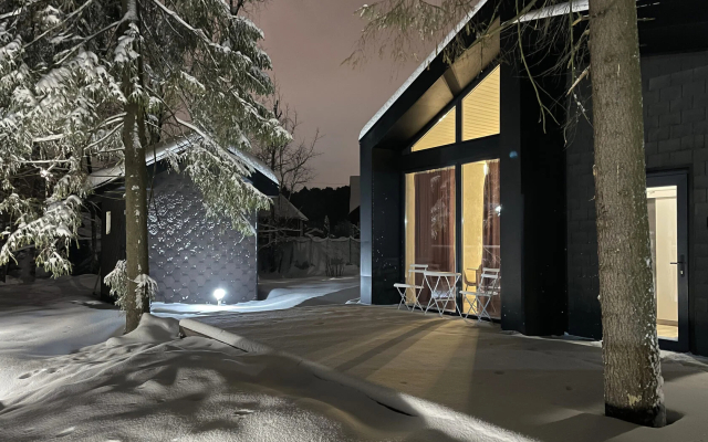 Pine Forest(Хвойный лес)